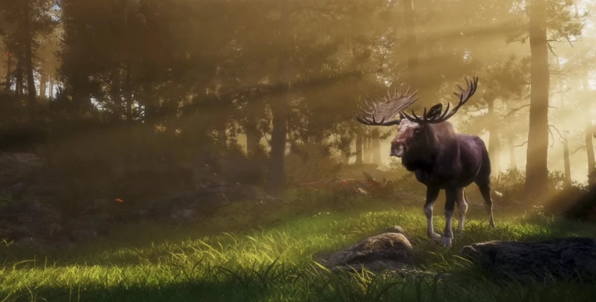 Создатели Way of the Hunter тизерят новое охотничье приключение